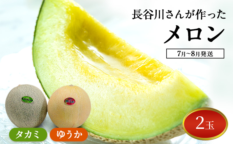 【先行予約2026年産】長谷川さんが作ったメロン2個（ゆうか・タカミ）　7月～8月発送　青森県鰺ヶ沢町産 2玉 果物類 フルーツ メロン青肉 