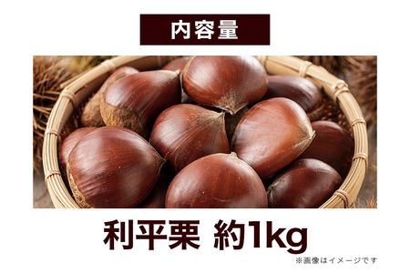 生栗 1kg 利平 栗 くり 国産  2L サイズ 以上 大きい 大粒 取り寄せ 笠間 茨城 和栗 甘栗 低温熟成 ギフト プレゼント 秋 旬 おやつ スイーツ 果物 フルーツ 焼き栗 栗ご飯 栗きん