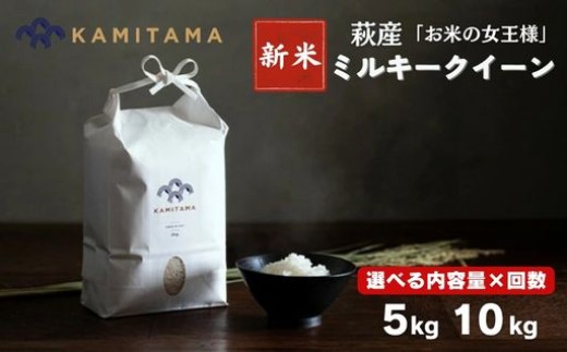 
                  【選べる！】ミルキークイーン 令和8年 5kg～10kg 新米 米 コメ こめ 萩産 KAMITAMA
                