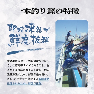 枕崎ぶえんかつお(活き〆血合抜き刺身)　600g A0-79【配送不可地域：離島】