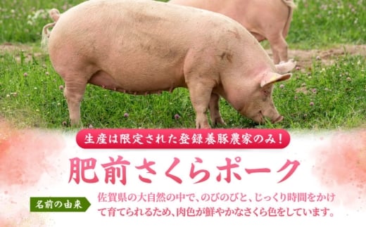 肥前さくらポーク ロース 500g × 2パック 計 1kg しゃぶしゃぶ 豚 豚肉 吉野ヶ里町/上場食肉 [FDQ003]