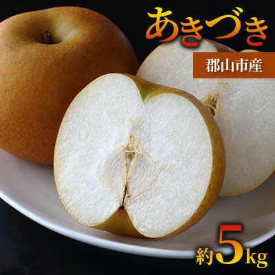 【ふるさと納税】梨 あきづき 約5kg 果物 なし くだもの フルーツ 旬 ナシ 産地直送 国産 家庭用 贈答用 人気 グルメ お取り寄せ ジューシー 果汁 みずみずしい 果実 デザート 福島県 郡山市　お届け：2025年9月1日～9月15日