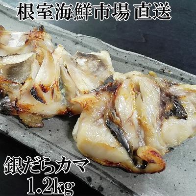 ふるさと納税 根室市 銀だらカマ1.2kg G-11008