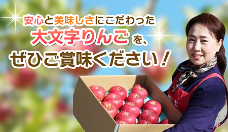 【１月上旬より発送】大文字りんご園 サンふじ 『大玉サイズ』 約5kg (約10～11玉)/【dma513-sf-5C-big】