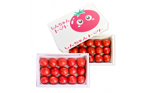 【先行予約】糖度9度以上 フルーツトマト しんちゃんトマト 750ｇ×2箱 合計約1.5kｇ (小～大玉サイズ　10～20個×2箱) 〈2027年1月〜発送〉/ トマト 高糖度 高知県産 ふるーつとま