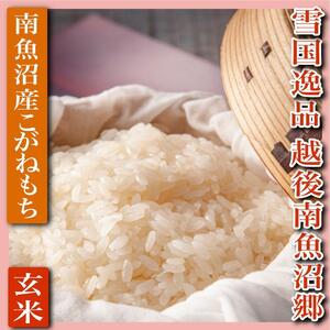 【もち玄米４Kg】雪国逸品 越後南魚沼郷 南魚沼産こがねもち
