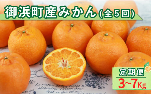 御浜町産みかん（全5回） 果物 フルーツ みかん 定期 定期便 5回 三重県 御浜町 