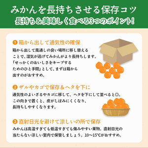 先行予約 小原紅早生みかん 約3kg みかん