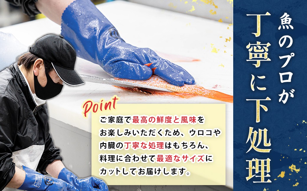 目利きプロが厳選した北海道産の天然旬鮮魚介セット