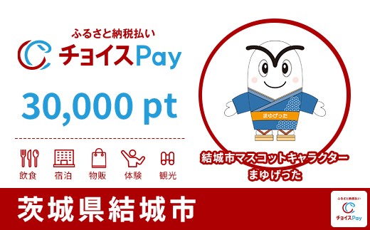 
            結城市チョイスPay 30,000pt【会員限定のお礼の品】
          