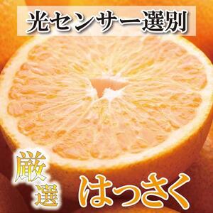 ［先行予約］厳選 はっさく2.5kg+250g（傷み補償分）［八朔みかん］［光センサー選別］［IKE25］
