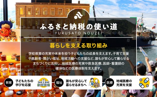 【先行受付】柑橘の鬼たちがつくる八幡浜産・甘平(2.7kg～3.0kg)＜訳あり＞＜D56-49＞_ 訳あり わけあり 柑橘 甘平 かんぺい フルーツ くだもの 果物 青果 ふるーつ 甘い 常温 産直