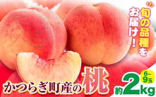 桃 かつらぎ町産 約 2kg 道の駅 くしがきの里《2025年6月上旬-8月中旬頃出荷》 和歌山県 日高町 果物 フルーツ 桃 もも モモ 旬