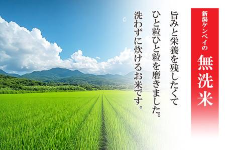 無洗米 新潟米４銘柄食べくらべ８kg 令和5年産