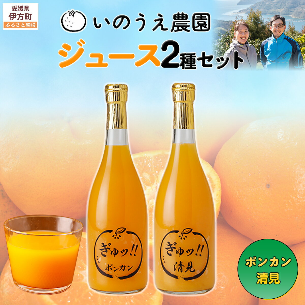 【ふるさと納税】いのうえ農園 ジュース2種セット（ポンカン/清見）※離島への配送不可 【ふるさと納税 人気 おすすめ ランキング 柑橘 みかんジュース ポンカン 清見 ジュース フルーツ 果物 産地直送 いのうえ農園 愛媛県産 愛媛県 伊方町 送料無料】 IKTAI021