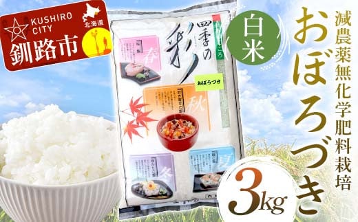 
            【選べる発送月】【令和7年度産 】【新米】 減農薬9割減 ・ 化学肥料不使用おぼろづき 3kg 白米 北海道産 米 コメ こめ お米 白米 玄米 F5F-0094var
          