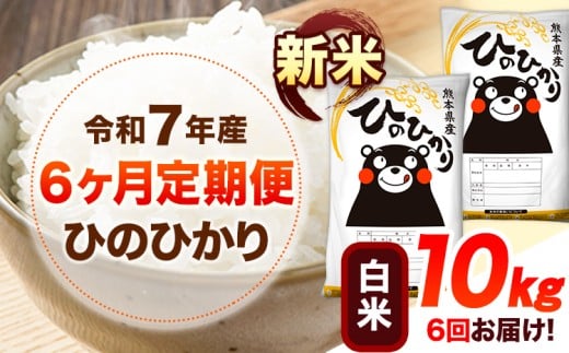 令和7年産【6ヶ月定期便】新米 白米 ひのひかり 10kg 《お申込み翌月から出荷》 熊本県産 白米 精米 ひの 送料無料 熊本県 山江村 SDGs 米 コメ こめ 国産