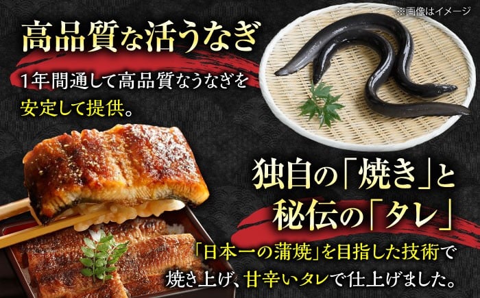 うなぎ 鰻 国産 福岡県産 蒲焼 かば焼き 土用 丑の日 ギフト 贈答