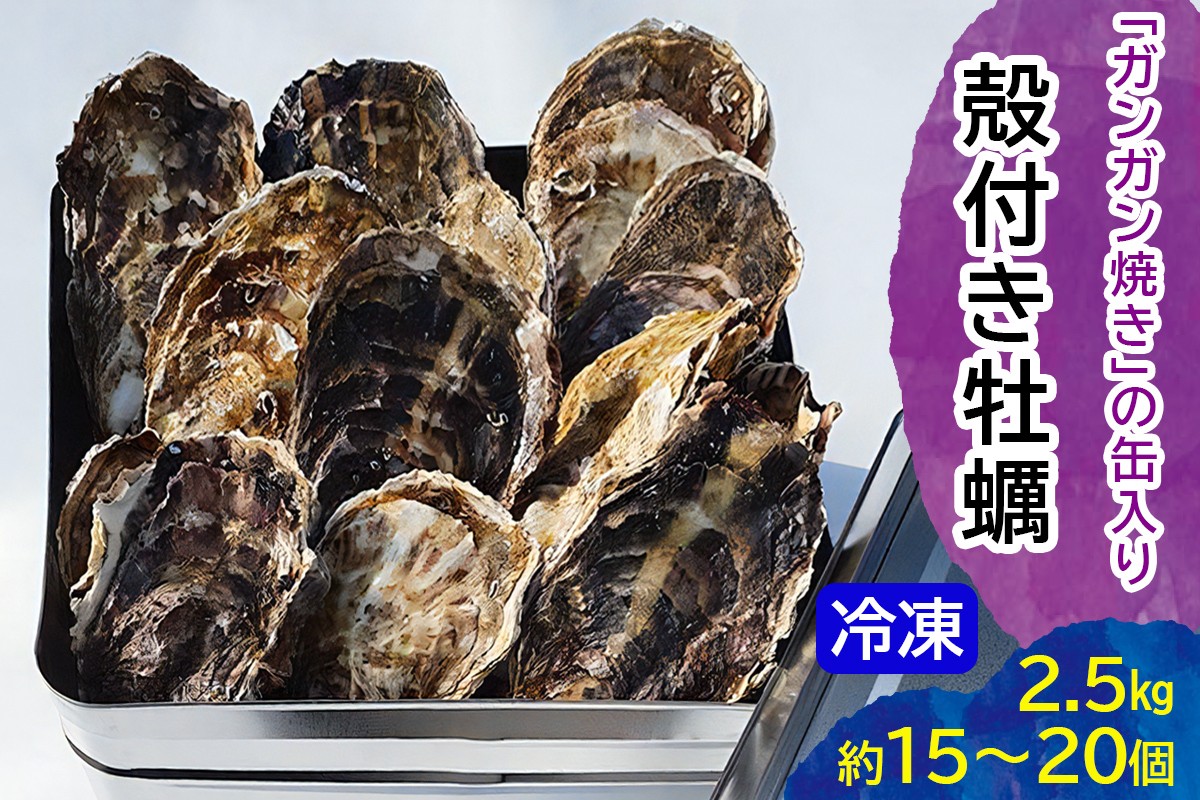 
                  オレのガンガン焼き 広島県大竹市産 冷凍殻付牡蠣 2.5kg (約15個から20個)｜かき 大粒 貝 シーフード オイスター 海鮮 魚介類 濃厚 海の幸 貝類 BBQ バーベキュー カンカン焼き おおたけカキ 特大サイズ 広島 大竹市 玖波 宮島 瀬戸 国産 産地直送 [2221]
                