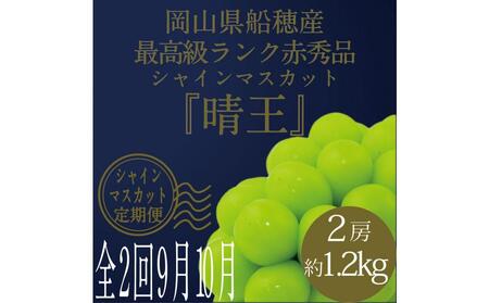 [HS]【定期便 全2回】ぶどう 2025年 先行予約 9月・10月発送 最高級品シャイン マスカット 晴王 2房 〈合計約1.2kg〉 ブドウ 葡萄  岡山県産船穂産 フルーツ 果物 ギフト