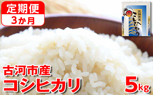 【定期便 3か月】【新米】令和7年産 古河市産コシヒカリ 5kg | 米 こめ コメ 5キロ 定期便 精米 こしひかり 単一米 国産 古河市産 茨城県産 贈答 贈り物 プレゼント 茨城県 古河市 直送 農家直送 産地直送 送料無料 _DP34