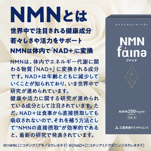 ＜定期便・全12回(毎月)＞完全国内生産のNMNサプリメント「NMNファイナ」1箱×12回・計12箱（約360日分・2160粒) 健康サポートサプリメント NMN 大分県 佐伯市 【GM004】【三菱