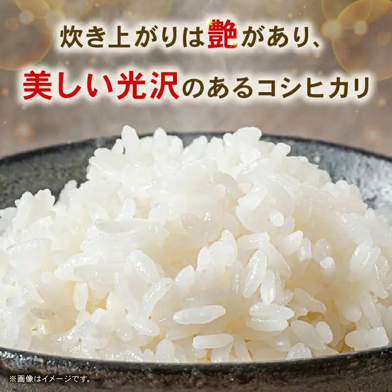 【先行予約】白米 10㎏ コシヒカリ 令和8年度 南国市産 6回定期便