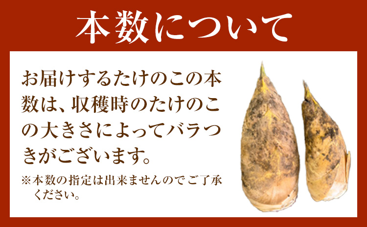 たけのこ 4kg 約4~10本 弐番屋《3月下旬-4月下旬頃出荷》鹿児島県 さつま町 筍 タケノコ