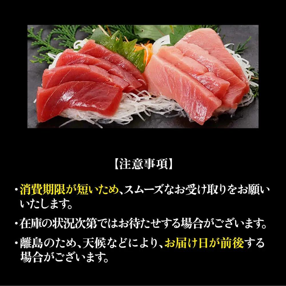 【全12回定期便】五島列島産養殖生本かみまぐろ 赤身 中トロ 計約700g[RBP069] 本マグロ 本まぐろ 定期便 本マグロ 本まぐろ 定期便 本マグロ 本まぐろ 定期便九州 長崎