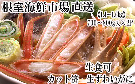 B-28088 根室海鮮市場＜直送＞生食可！カット済み生ずわいがに700～800g×2P(計1.4～1.6kg)