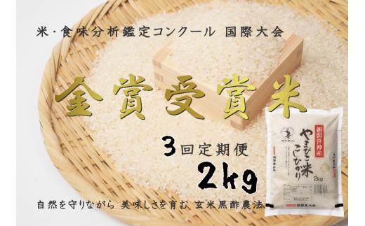 【令和7年産新米予約】【3か月定期便】コシヒカリ「やまびこ米」2kg×3回 玄米黒酢農法 金賞受賞 特別栽培米 白米 精米 農家直送 10月中旬より順次発送予定 1P07021