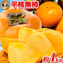 【ふるさと納税】秀品 和歌山秋の味覚 平核無柿 ( ひらたねなしがき ) 約 4kg 化粧箱入 株式会社魚鶴商店《2025年10月上旬-11月上旬頃出荷》 和歌山県 日高川町 柿 カキ かき たねなし ジューシー フルーツ