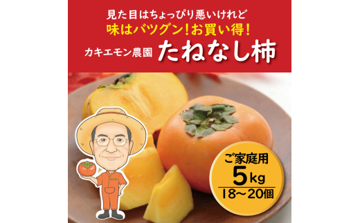 【ご家庭用】たねなし柿 約5kg 18 ～ 20個 カキエモン農園【2025年9月下旬～10月末頃順次発送】