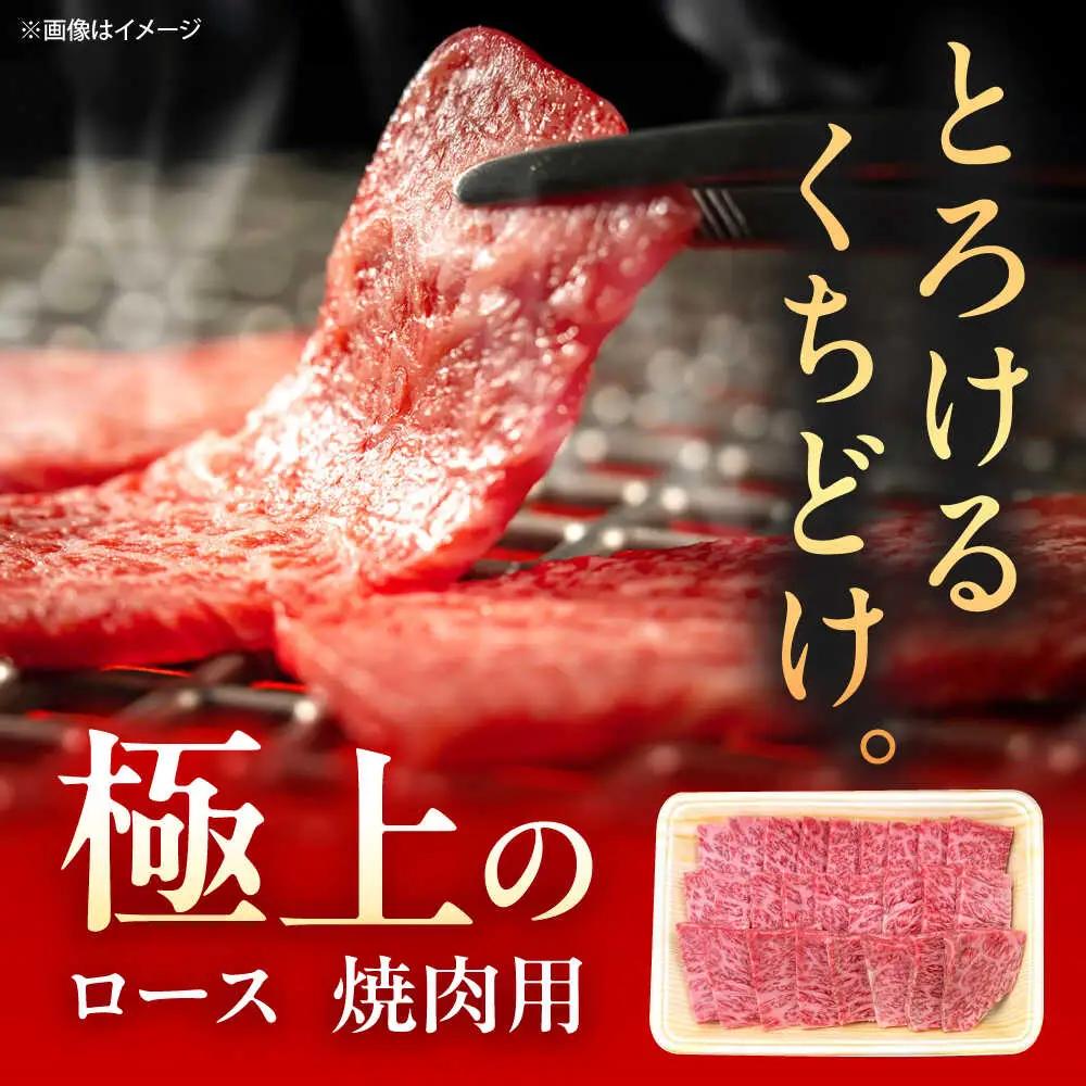 【6回定期便】 佐賀牛 ロース焼肉 500g ロース [UEM056]
