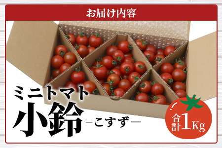 田淵さんちの美味しい ミニトマト 小鈴（1.0kg）| 野菜 トマト ミニトマト 産地直送 ミニトマト 新鮮 トマト 南大隅町産 ミニトマト おいしい  ミニトマト