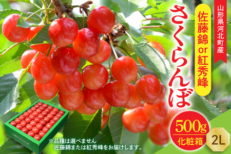 【令和8年産】さくらんぼ 佐藤錦or紅秀峰 500g 2L玉 手詰め 特秀品 化粧箱入 山形県河北町産 【山形eLab