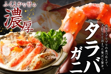 2121. 二大蟹食べ比べセット 計3.2kg（タラバ足 1.6kg/ズワイ足 1.6kg） 食べ方ガイド・専用ハサミ付 カニ かに 蟹 海鮮 送料無料 北海道 弟子屈町