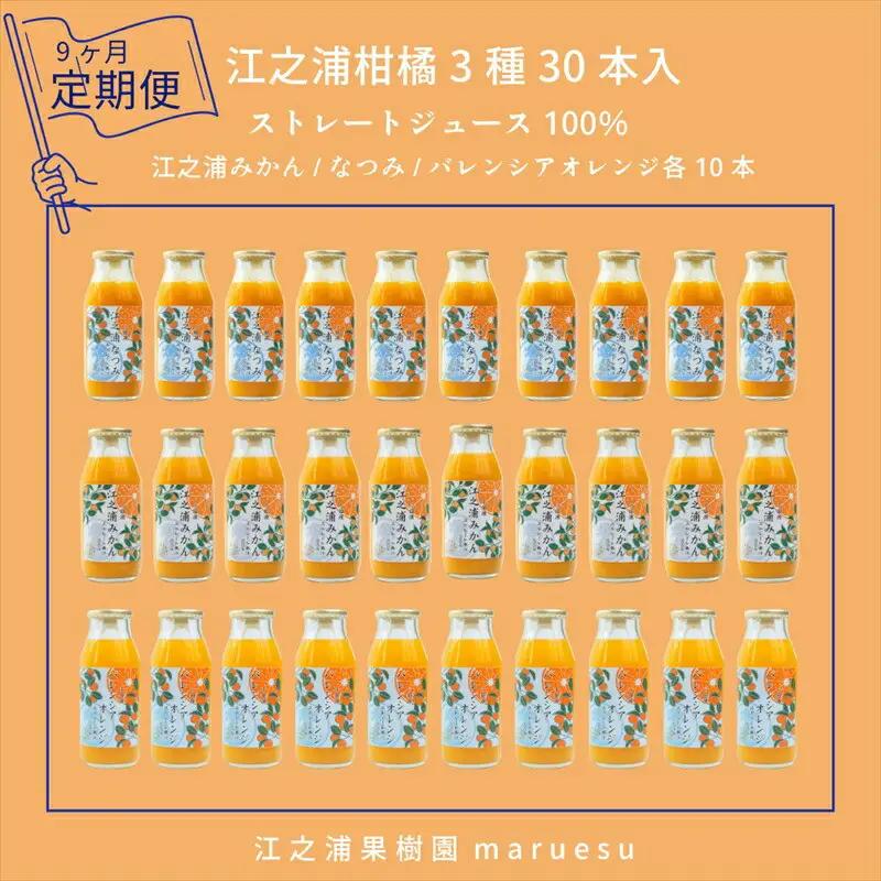 【定期便 9回】 小田原産江之浦みかんジュース３種のみくらべ３０本セット うんしゅう・なつみ・バレンシアオレンジ１００％ストレートジュース１８０ml各１０本合計３０本【みかんジュース みかんジュース 神奈川県 小田原市 】