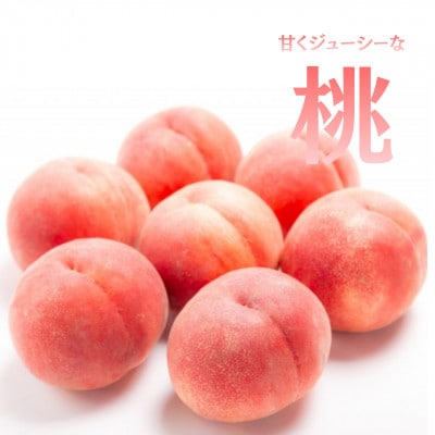 【発送月固定定期便】【2026年先行受付】旬のフルーツ定期便 桃2kg・巨峰/シャイン全2回【配送不可地域：離島・沖縄県】