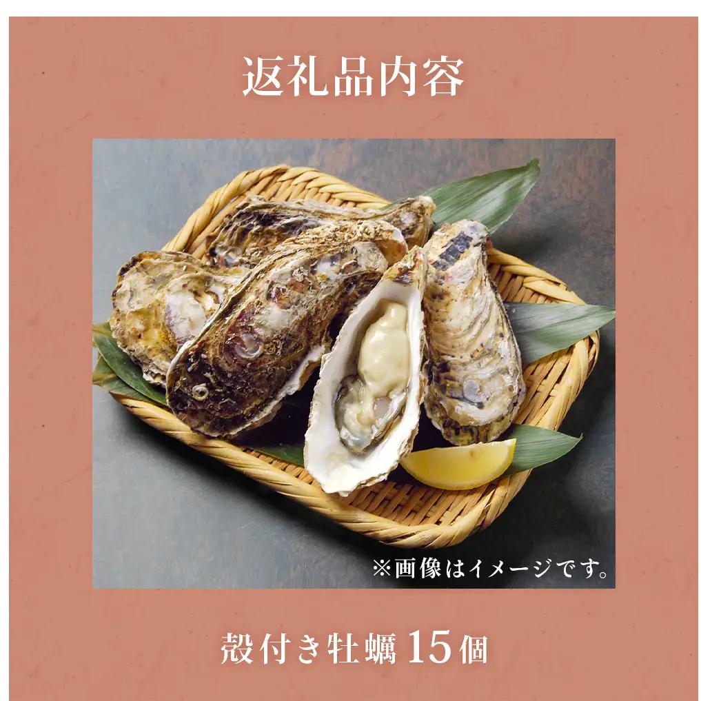 殻付き牡蠣 15個 生食用 牡蠣 カキ 殻付き 冷蔵 宮城 かき 海鮮 魚介 貝類 海の幸 海産物 魚介類 家庭用 宮城県 石巻市