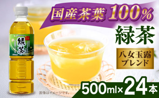 八女 玉露入り 緑茶 500ml × 24本  糸島市 / スターナイン お茶 ペットボトル 茶 ボトル 八女茶  国産 茶葉 [ARM004]