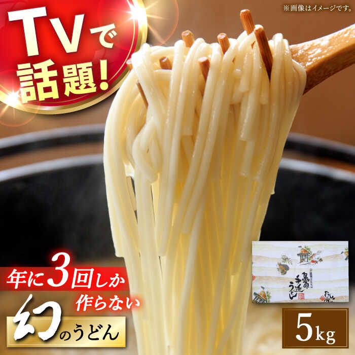 【ふるさと納税】【お歳暮対象】【年に3回しか作らない】幻の うどん 5kg / 麺 乾麺 / 南島原市 / 宮崎製麺所 [SDN007]
