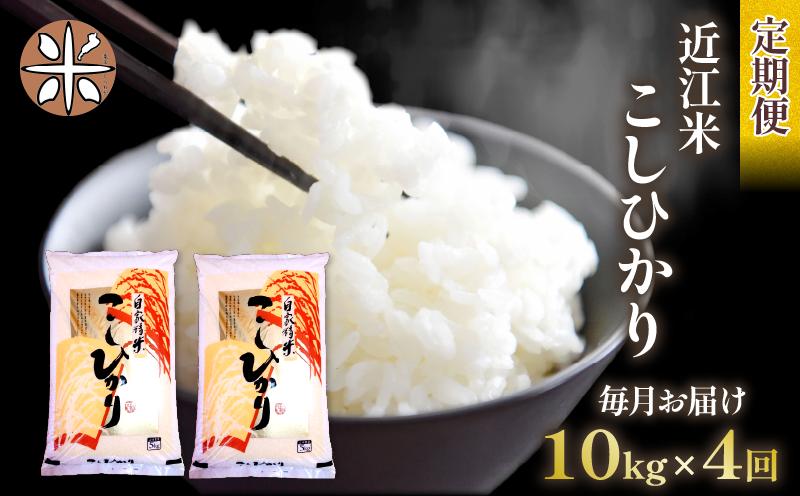 
                  令和7年産 こしひかり 定期便 10kg 全4回 白米 5㎏ × 2袋 4ヶ月 近江米 コシヒカリ 国産 お米 米 おこめ ごはん ご飯 白飯 しろめし こめ ゴハン 御飯 滋賀県産 竜王 ふるさと ランキング 人気 おすすめ
                