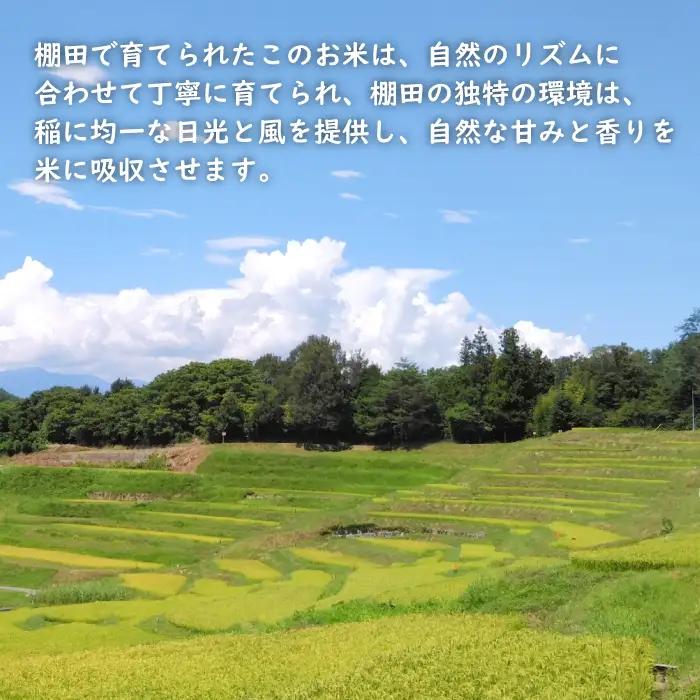 健幸農園の棚田米 5kg 白米