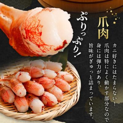 ふるさと納税 阪南市 【2025年7月19日より順次発送】生ずわい蟹 カニ爪肉 1.0kg(8〜25本×2袋)【9】 |  | 02