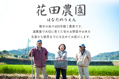 【3ヶ月定期便】ひだまりとアンダンテセット 全3回《お申込みの翌月より出荷》福岡県 花田農園 野菜スープ トマト ブロッコリー かぼちゃ
