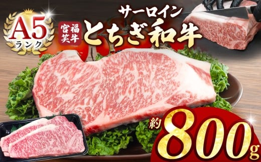 宮福笑牛(とちぎ和牛) A5 サーロインステーキ 約200gx4枚  | 牛肉 和牛 ステーキ サーロイン ステーキ ステーキ用 旨味 美味しい 肉 お肉  栃木県共通返礼品 栃木県 真岡市