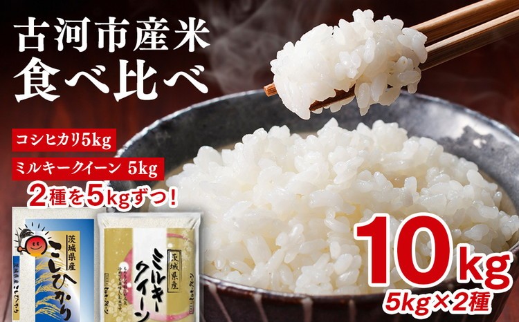 
                  令和7年産 古河のお米食べ比べセット（コシヒカリ・ミルキークイーン）計10kg | 米 こめ コメ 10キロ 精米 食べ比べ 食べくらべ こしひかり コシヒカリ ミルキークイーン みるきーくいーん 古河市産 茨城県産 贈答 贈り物 プレゼント 茨城県 古河市 直送 農家直送 産地直送 送料無料 着日指定可 着日指定OK ※2025年9月中旬頃より順次発送予定 _DP04
                