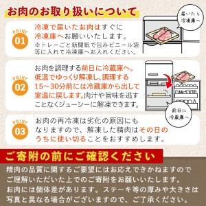 鹿児島県産黒豚セット 合計3kg 国産 黒豚 詰め合わせ 【Rana】A-411