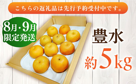 梨 豊水 約5kg 梨【★先行予約 8月下旬より発送】[AFAB023]